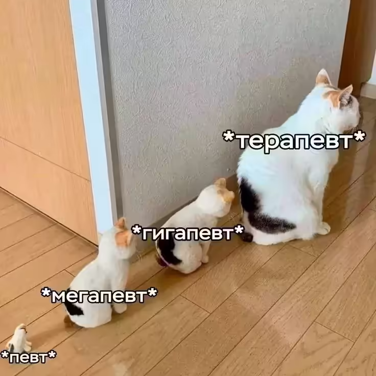 Смешнявка #11