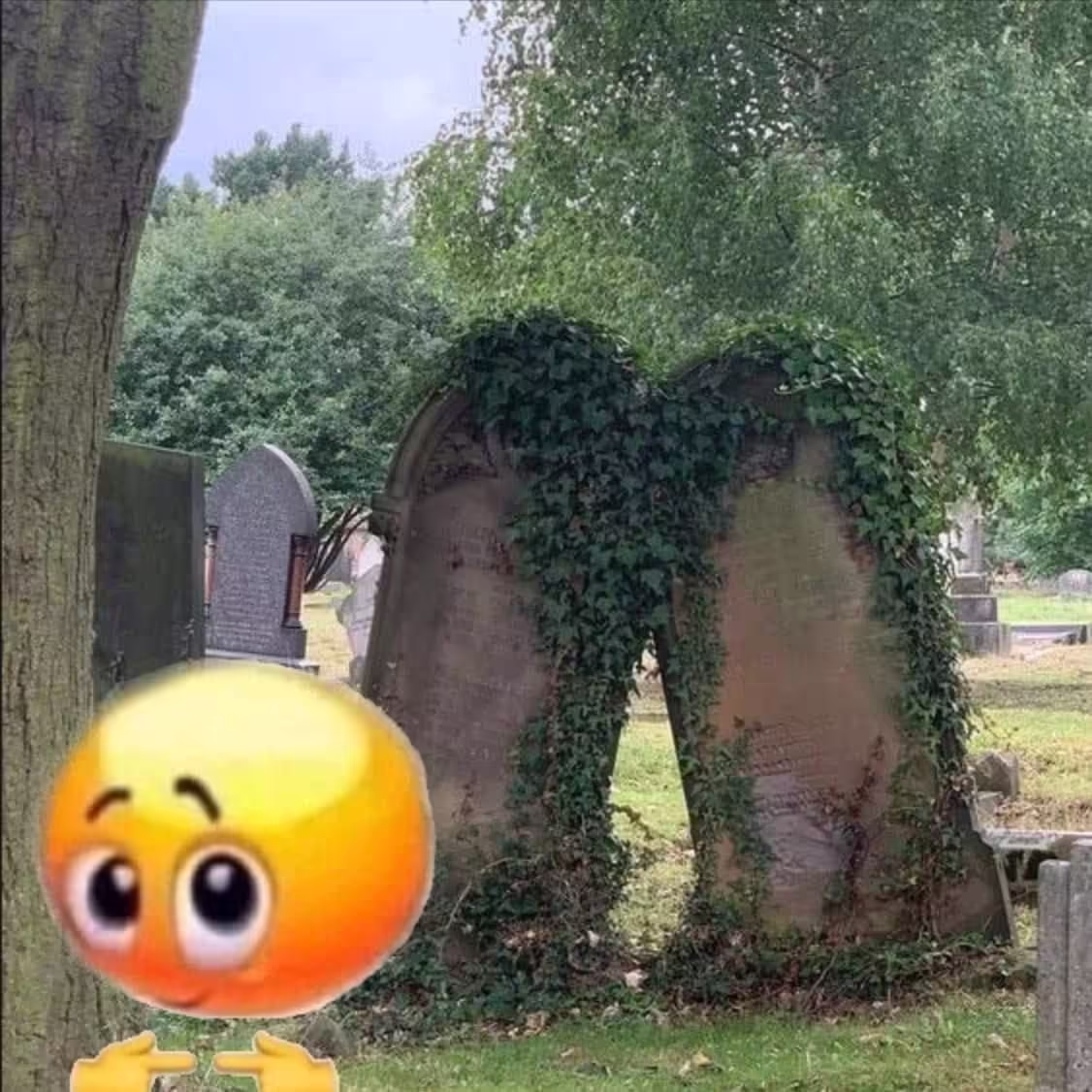 Смешнявка #23