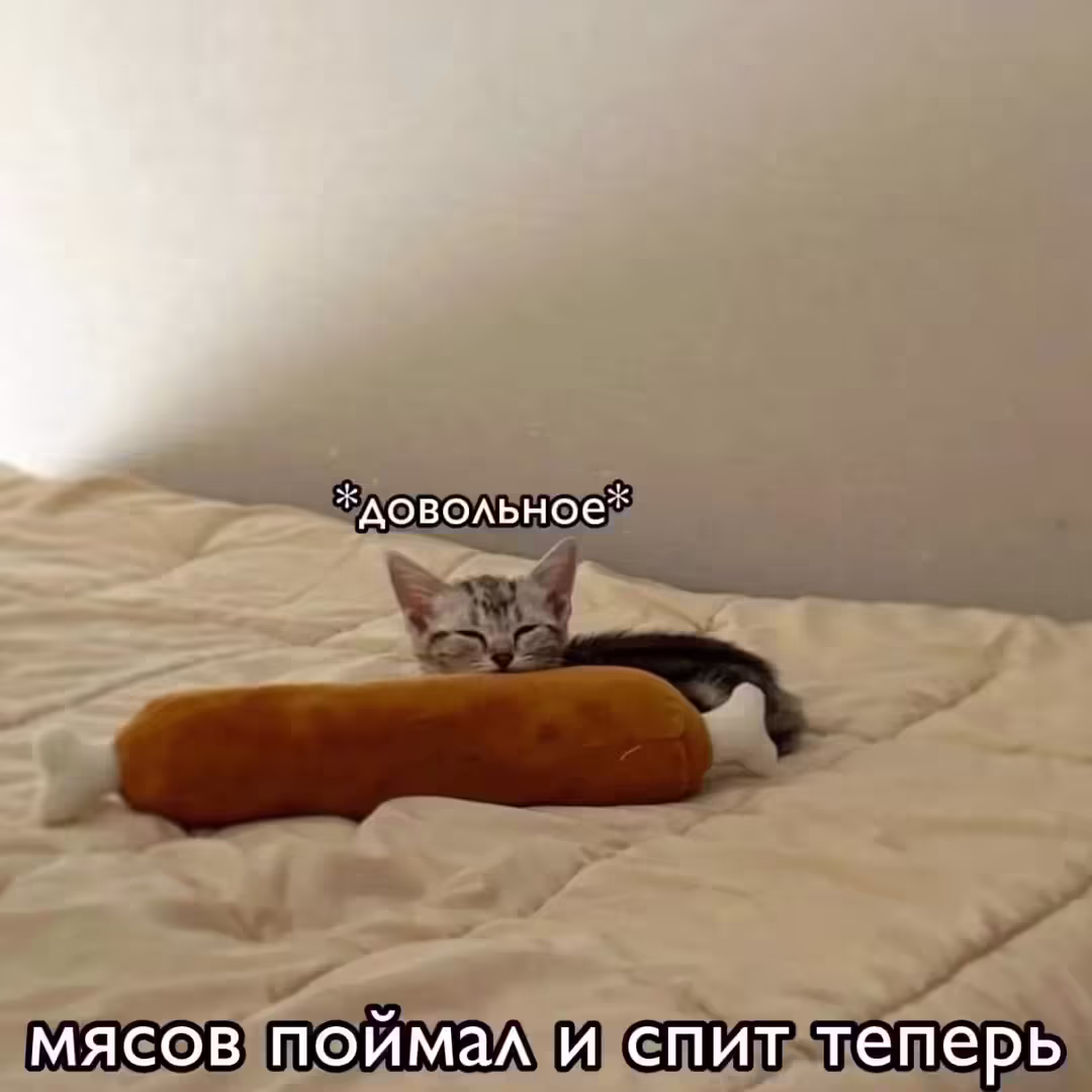 Смешнявка #33