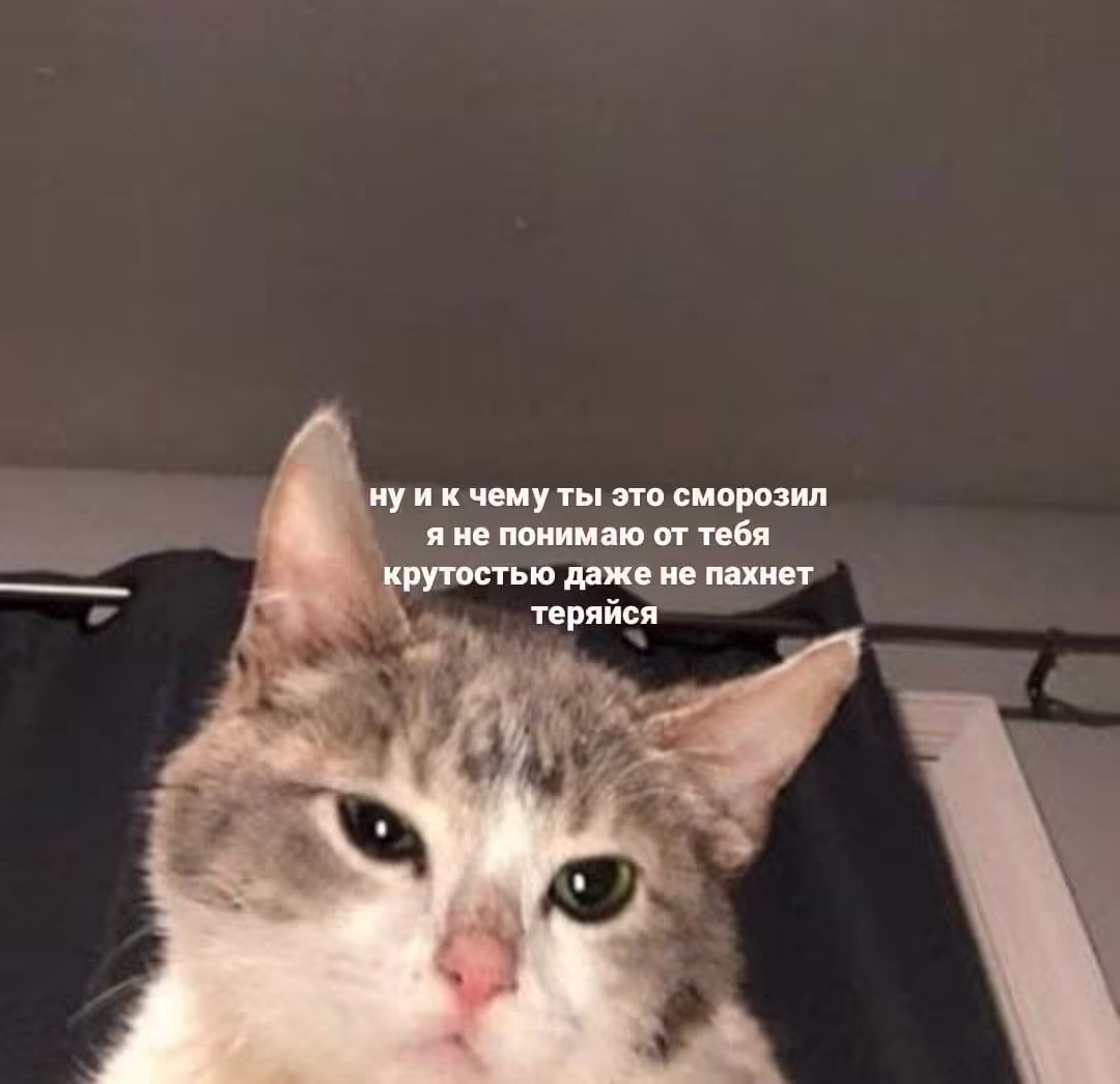 Смешнявка #45