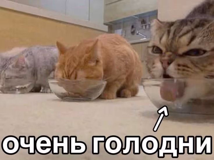 Смешнявка #55