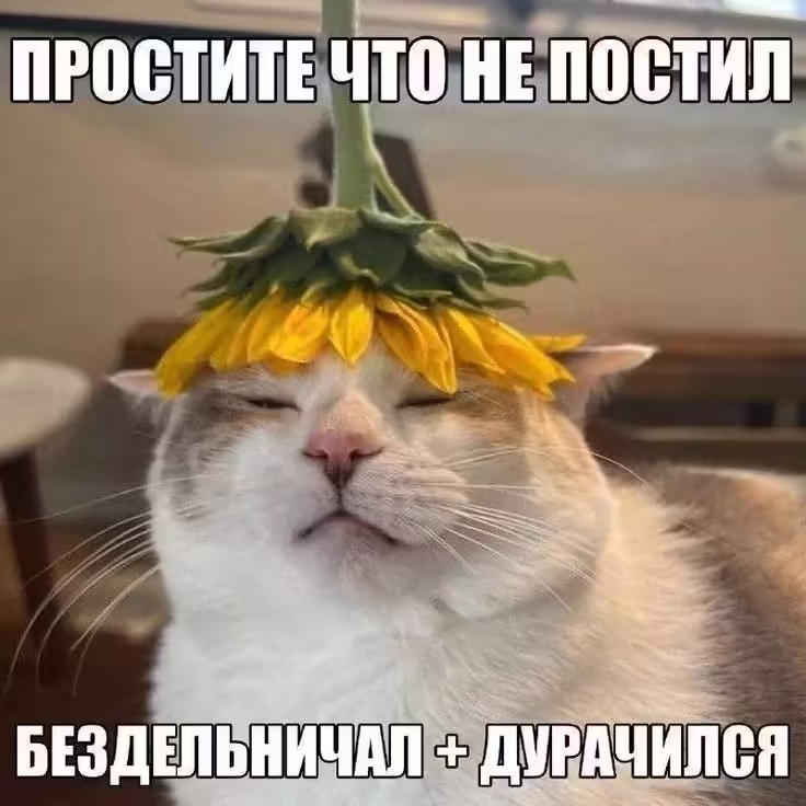 Смешнявка #57