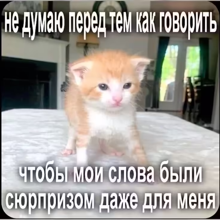 Смешнявка #60