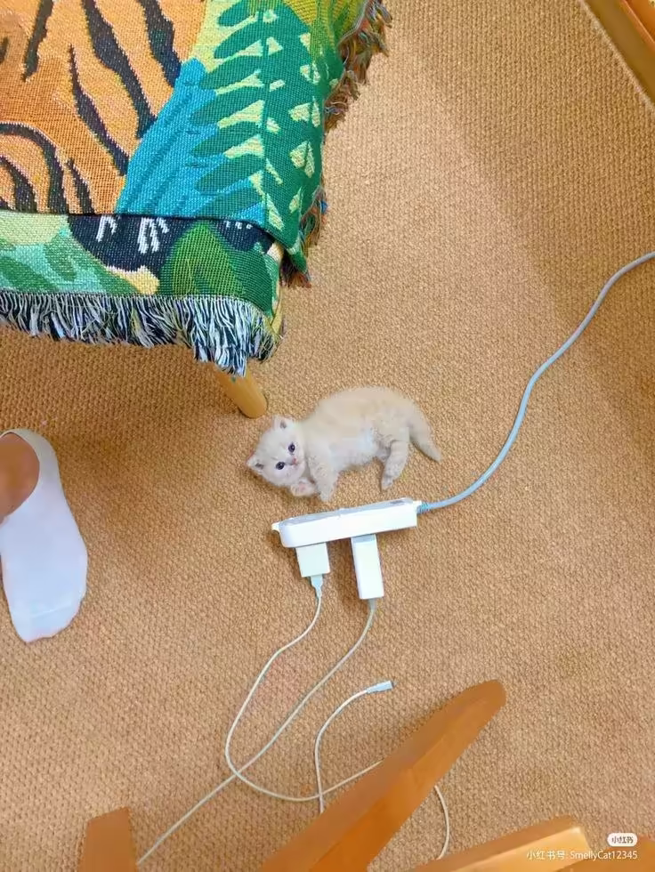 Смешнявка #64