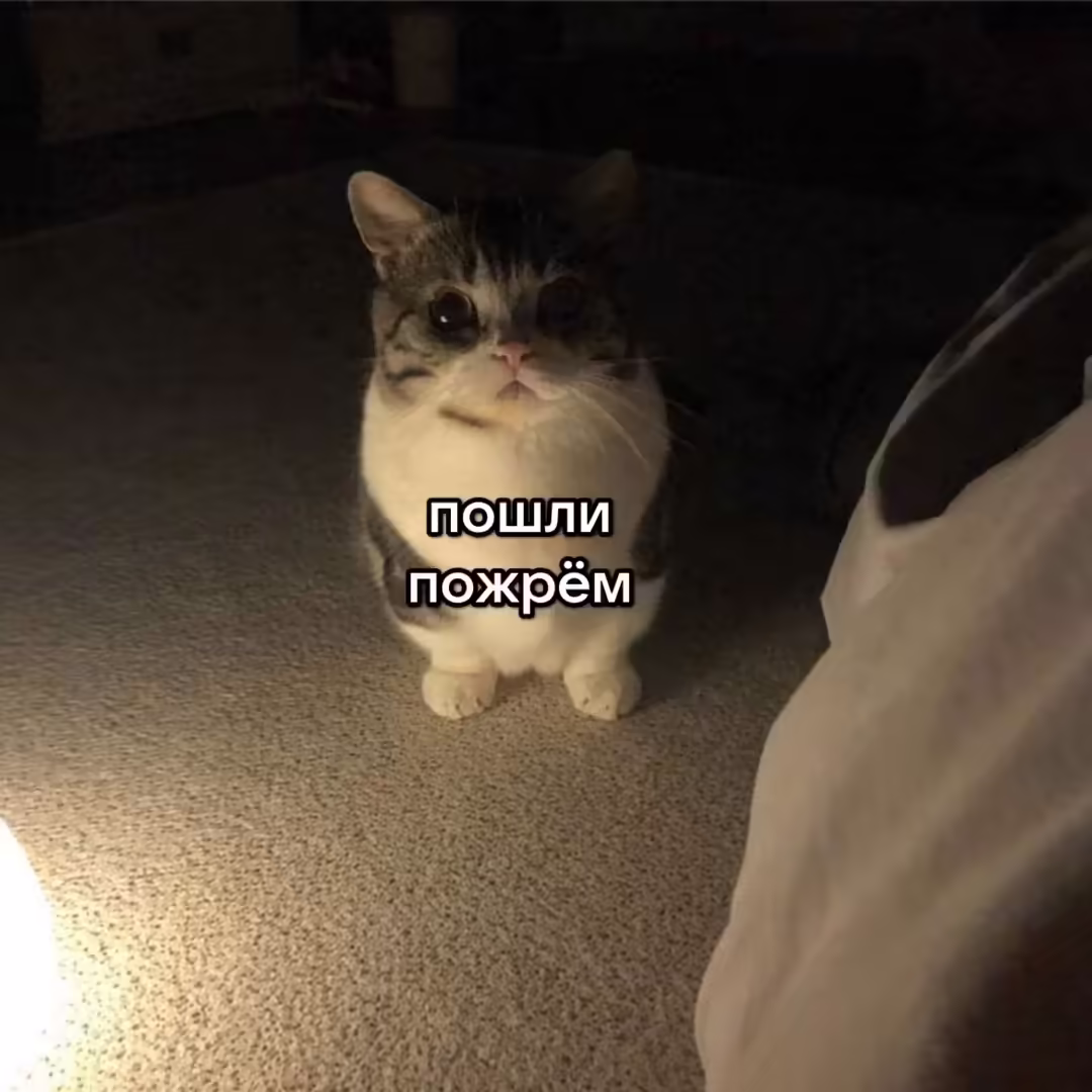 Смешнявка #72