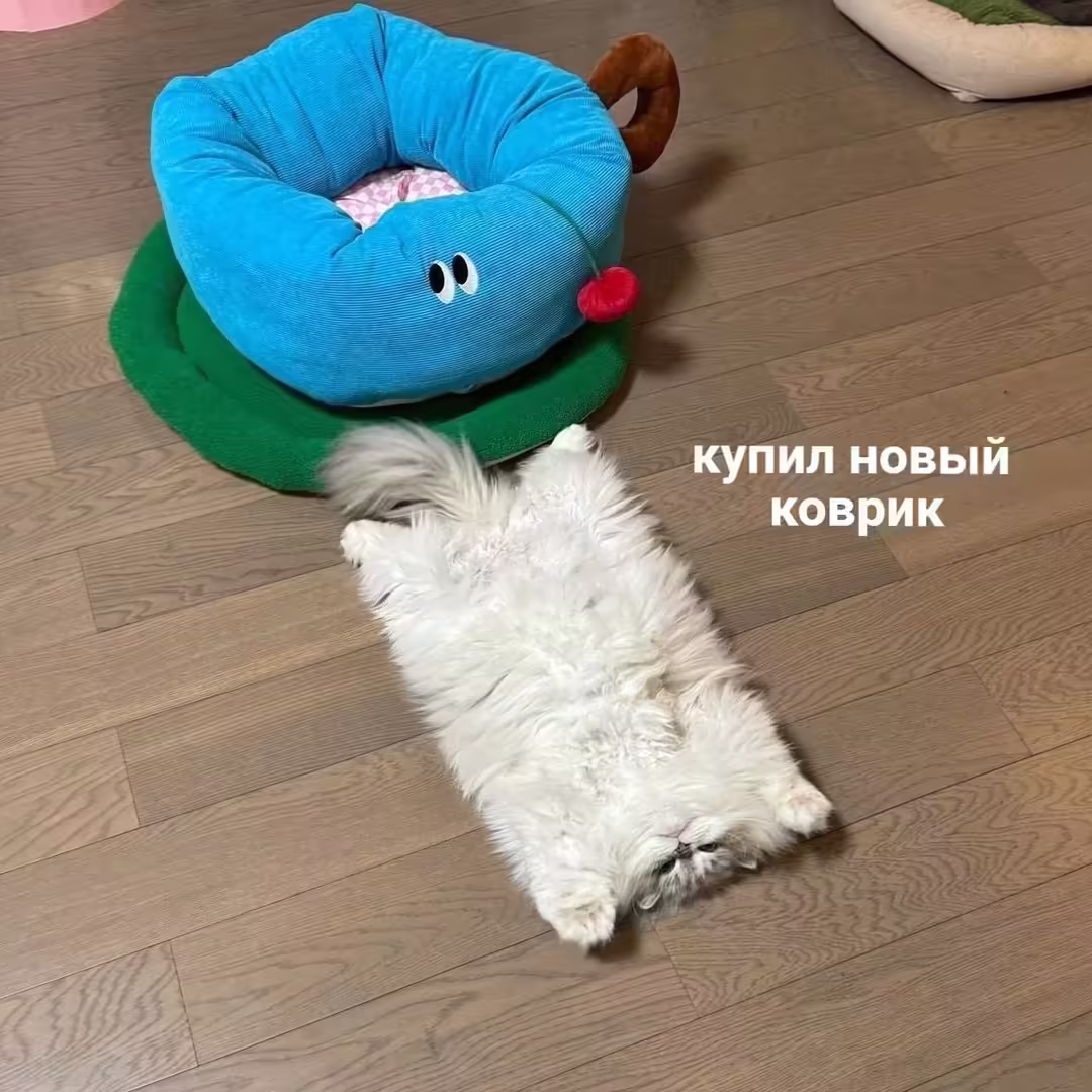 Смешнявка #80