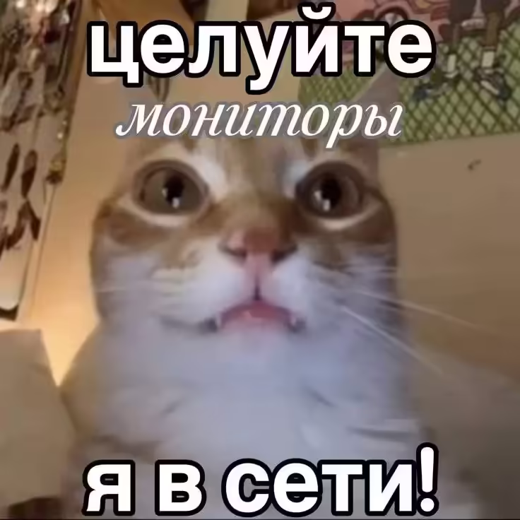 Смешнявка #87