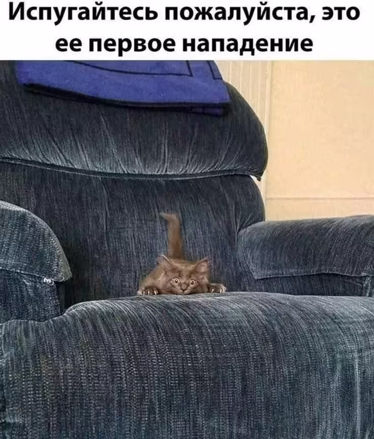 Смешнявка #92