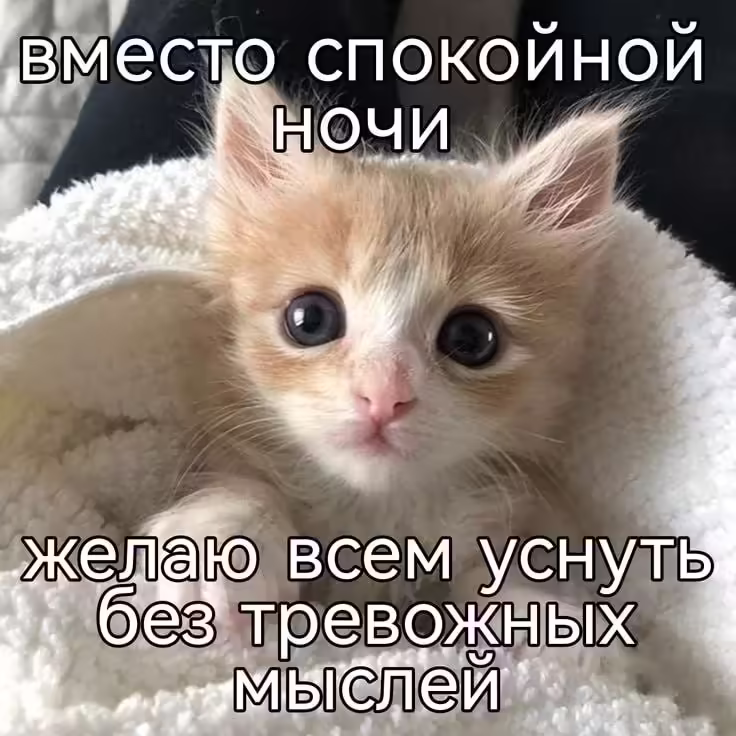 Смешнявка #94