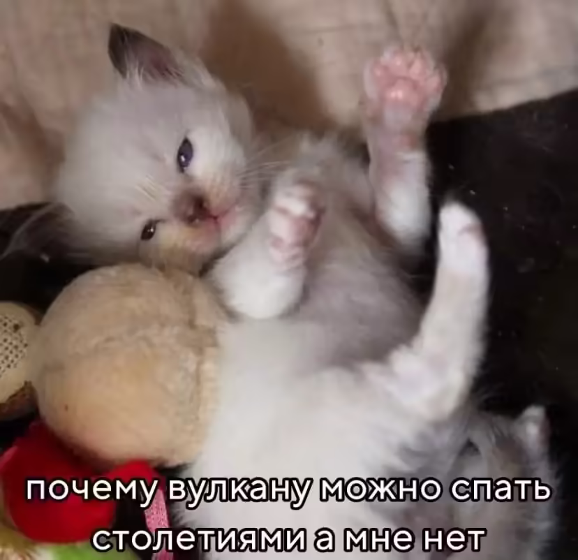 Смешнявка #98