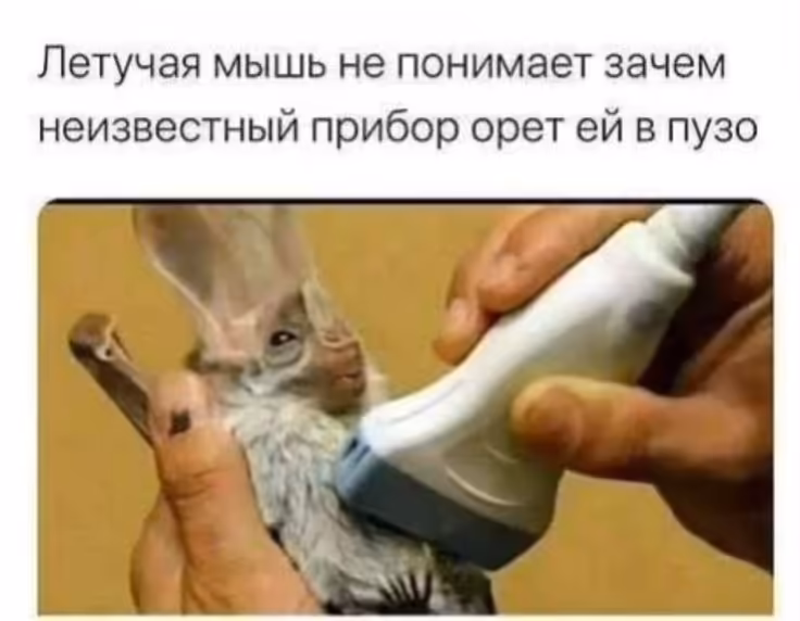 Смешнявка #100