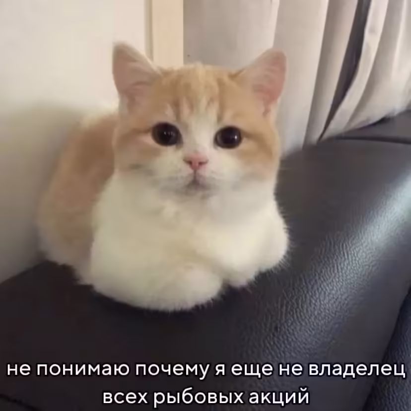 Смешнявка #101