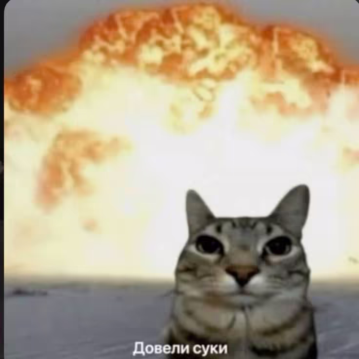 Смешнявка #102