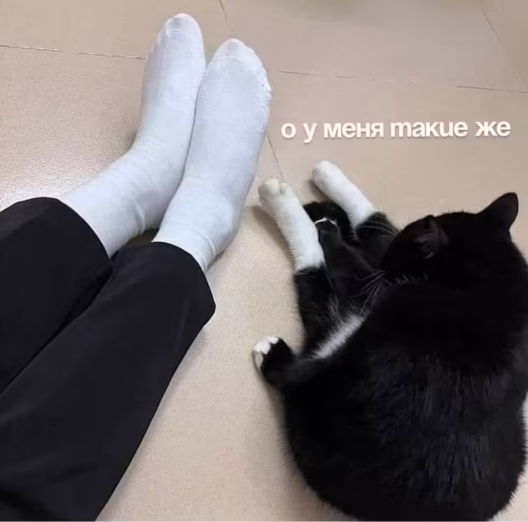 Смешнявка #103