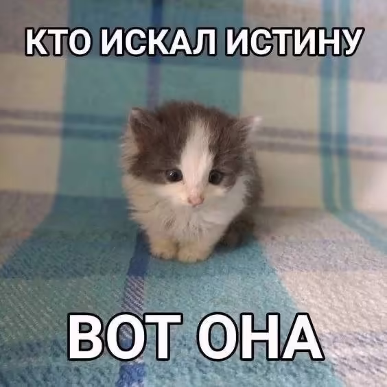 Смешнявка #105