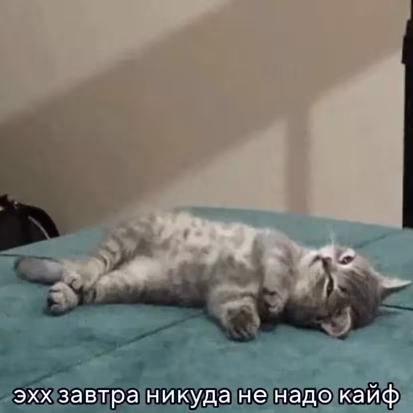 Смешнявка #106