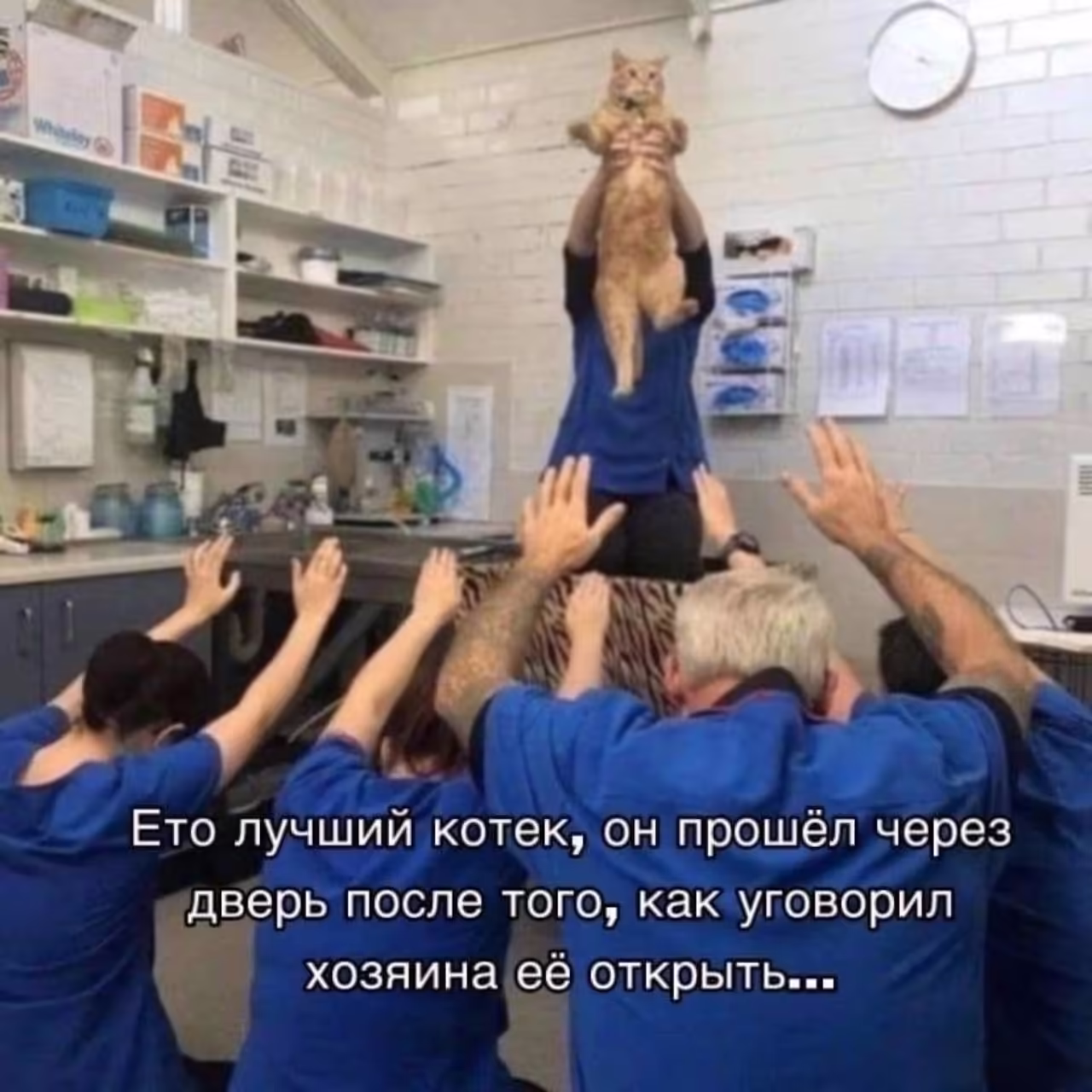 Смешнявка #109