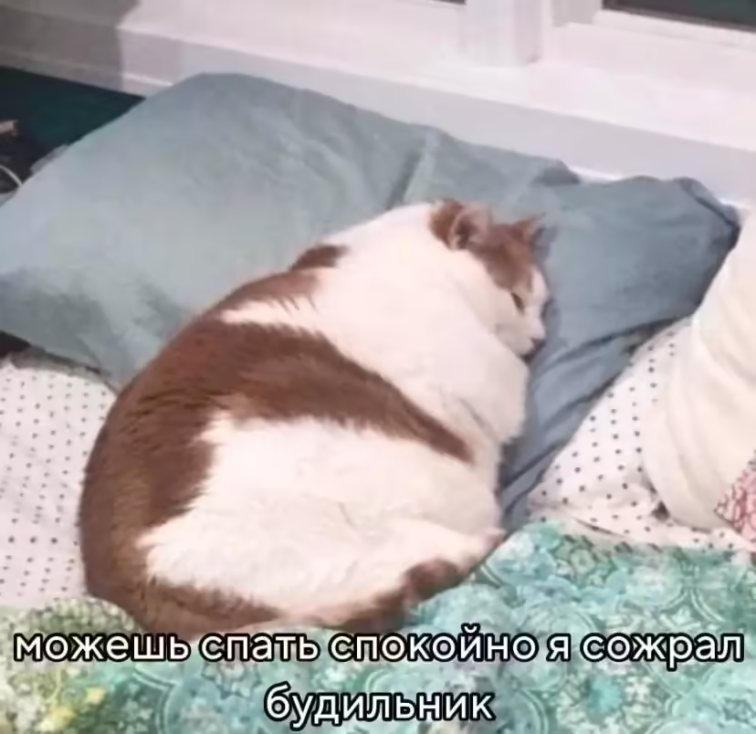 Смешнявка #120