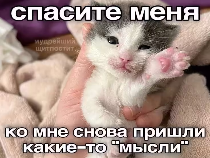 Смешнявка #133