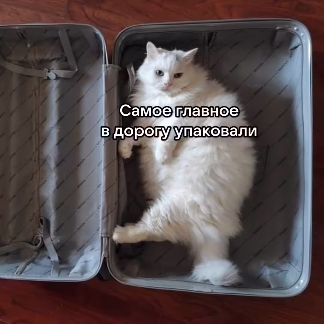 Смешнявка #136