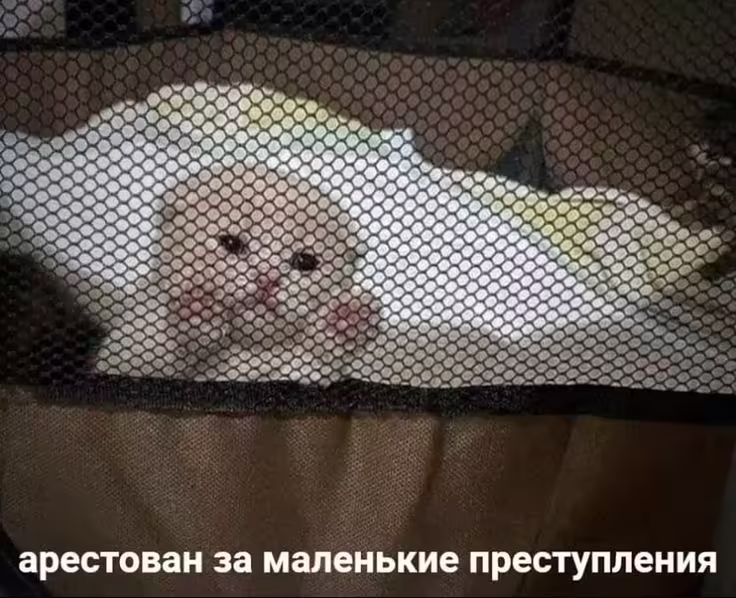 Смешнявка #142