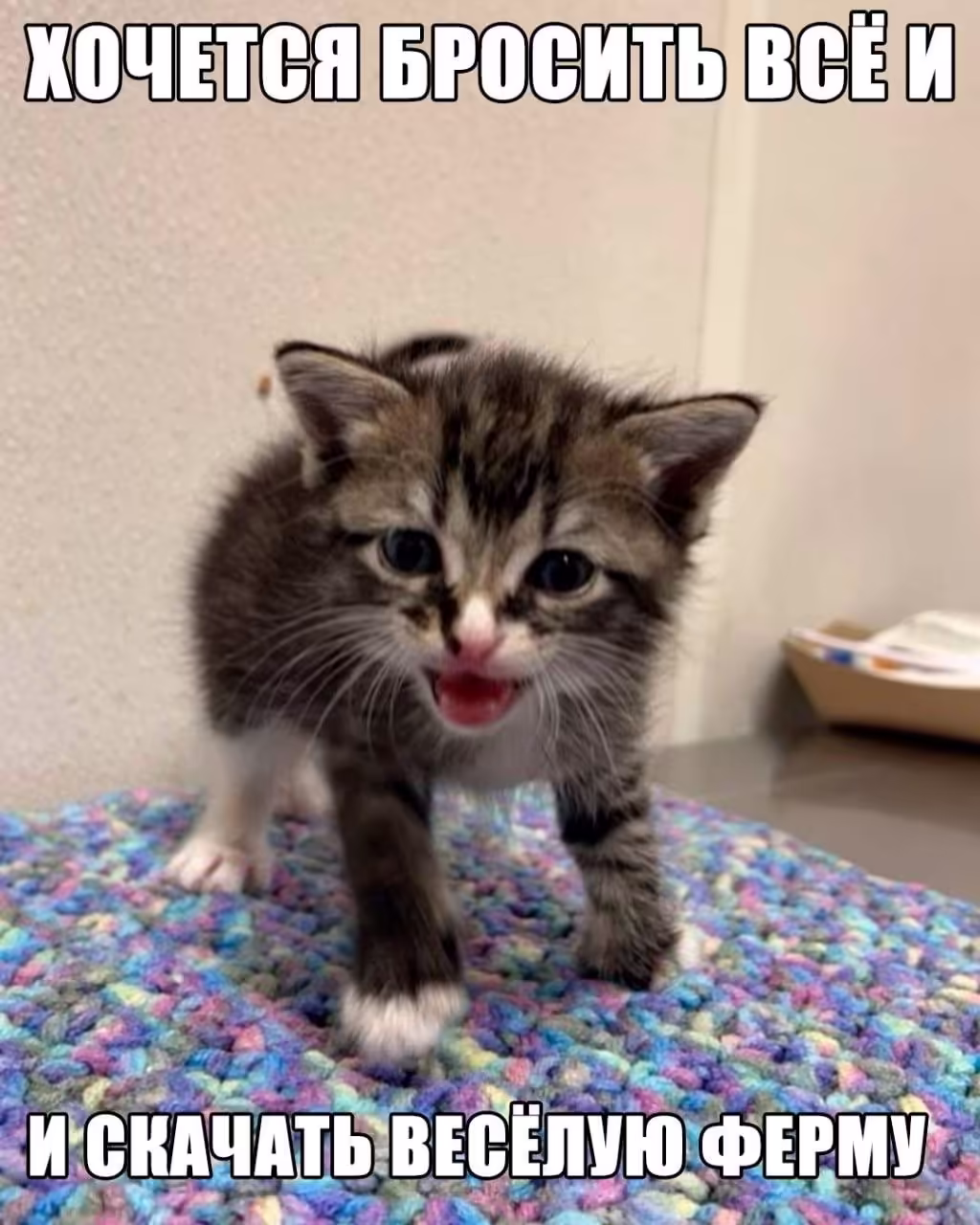 Смешнявка #148