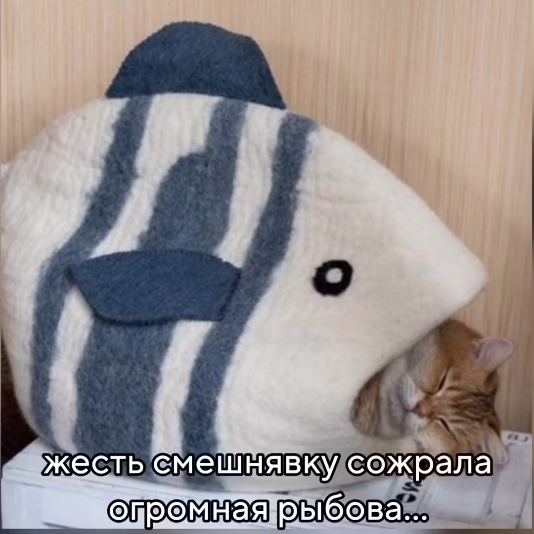 Смешнявка #149