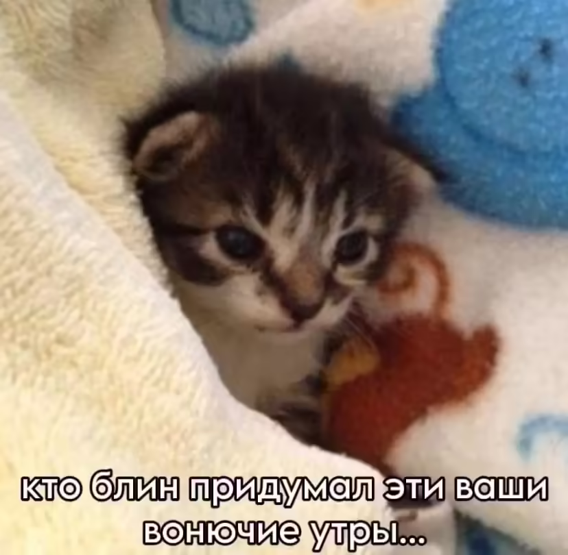 Смешнявка #153