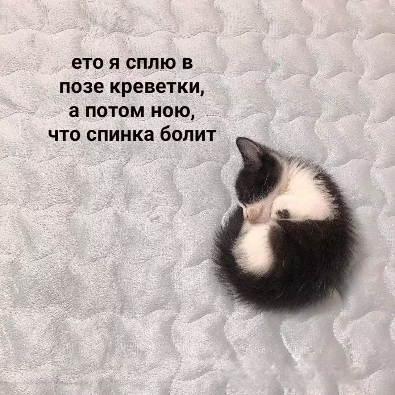 Смешнявка #166