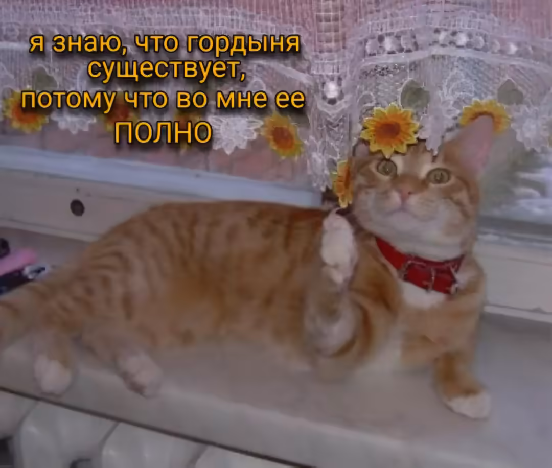 Смешнявка #179