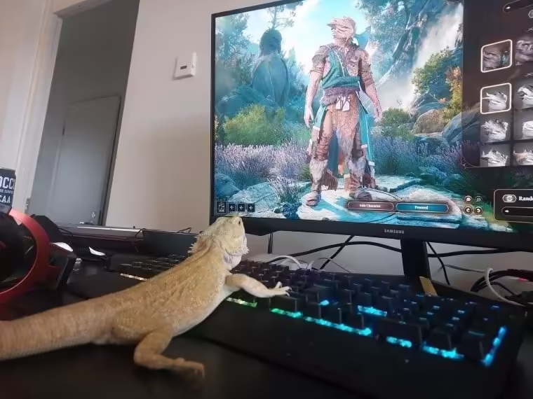 Смешнявка #188