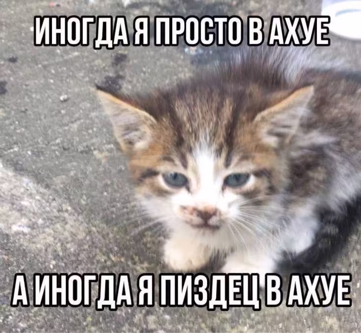 Смешнявка #195