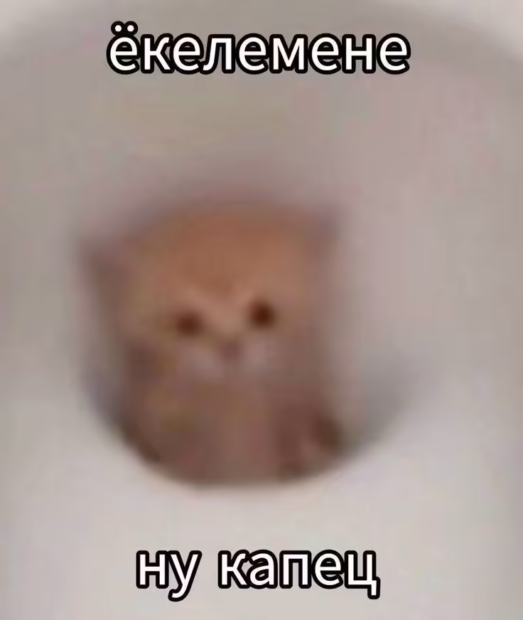 Смешнявка #212