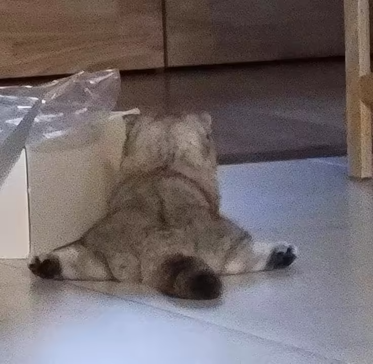 Смешнявка #216