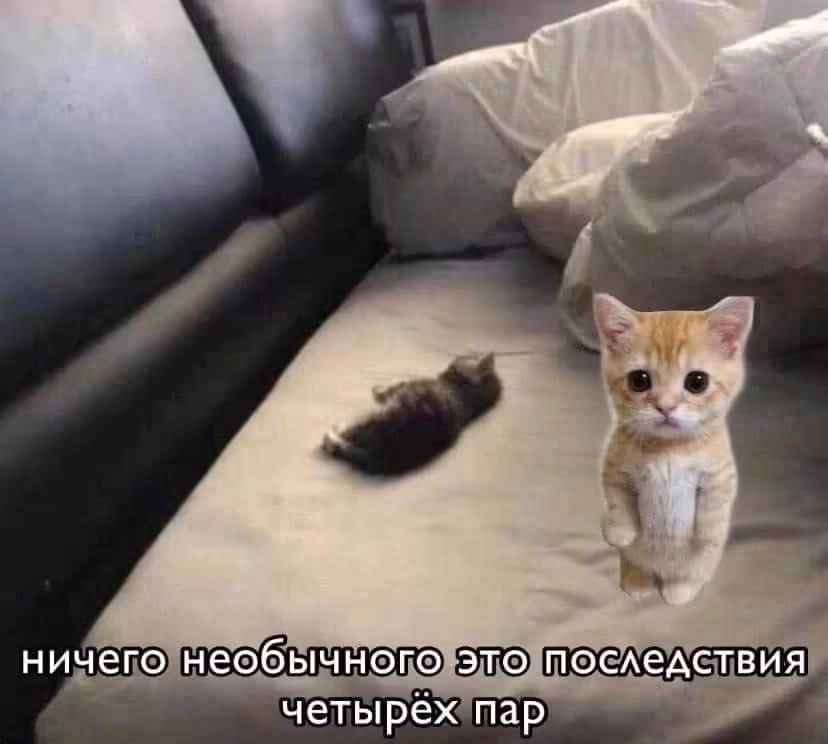 Смешнявка #217