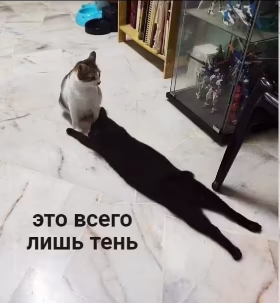 Смешнявка #221