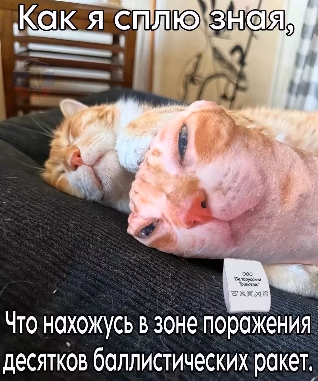 Смешнявка #223