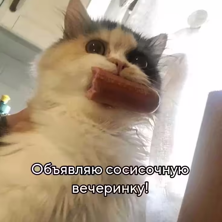 Смешнявка #243