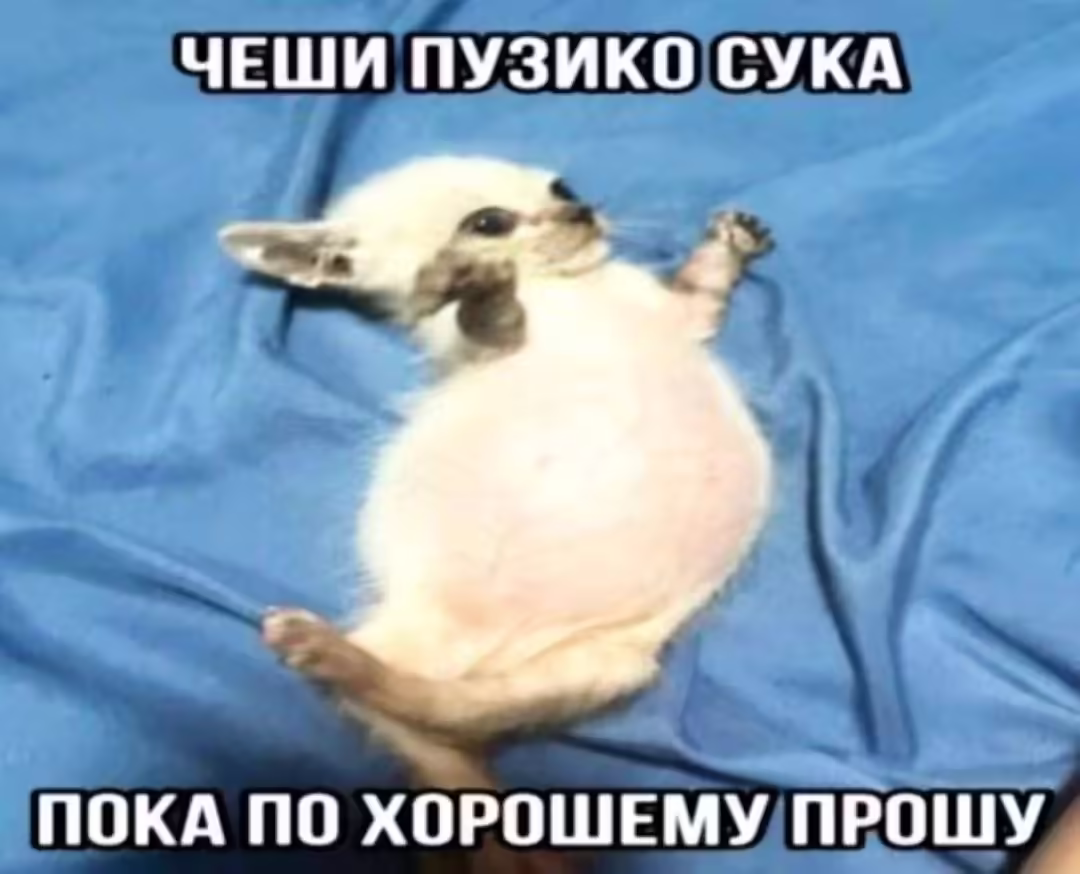 Смешнявка #252