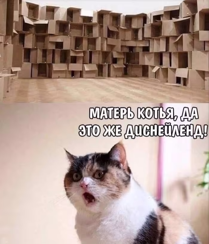 Смешнявка #257