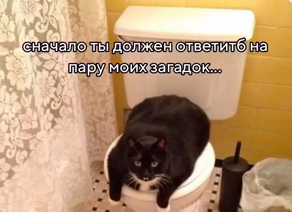 Смешнявка #259