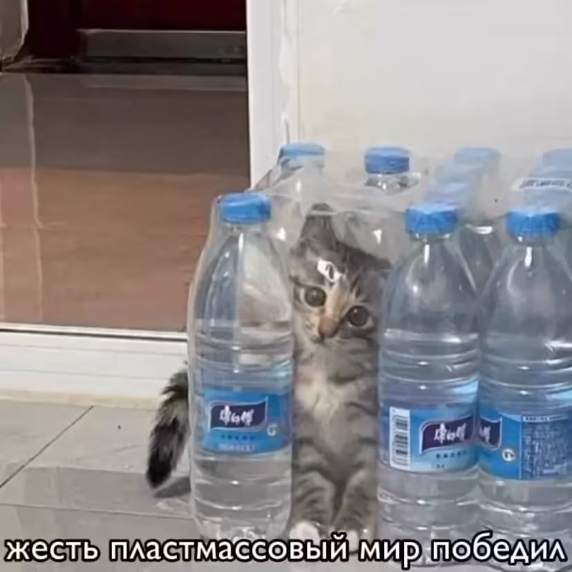 Смешнявка #264