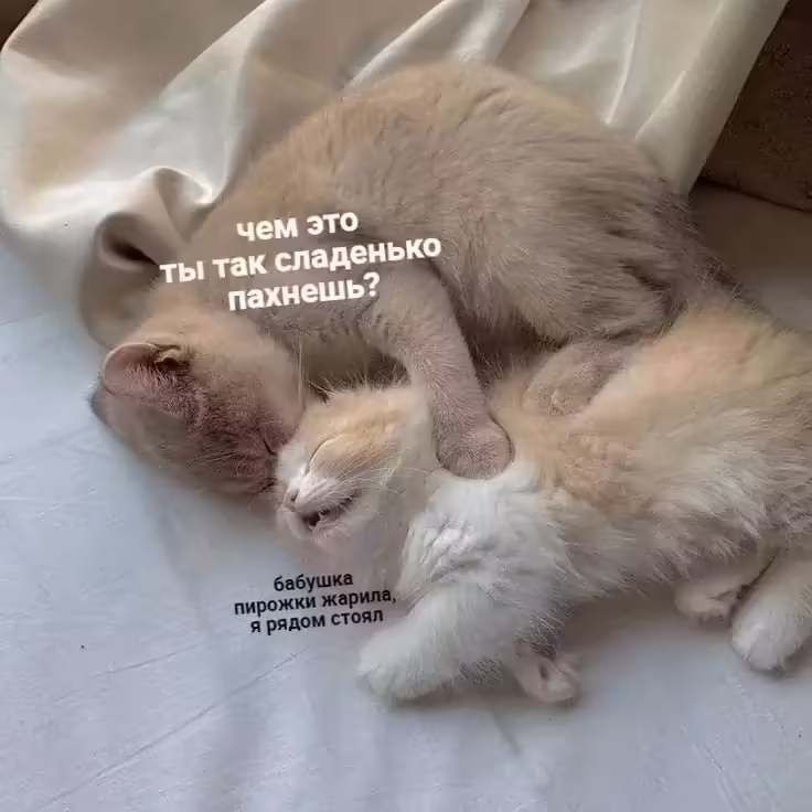 Смешнявка #265