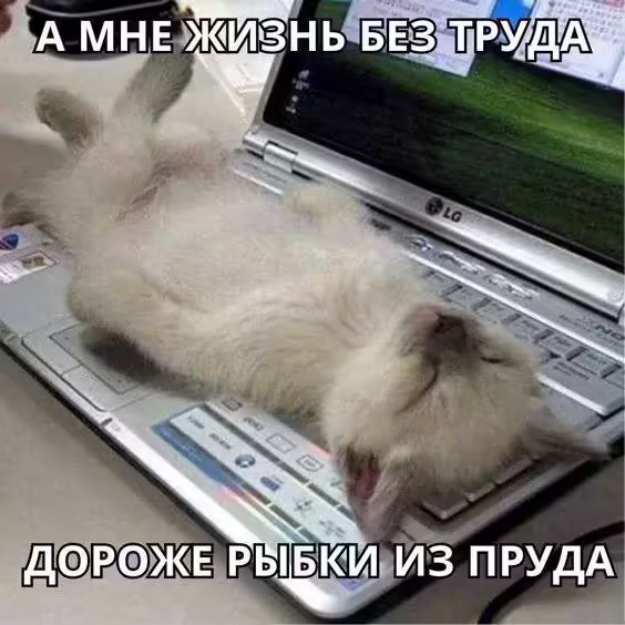 Смешнявка #267