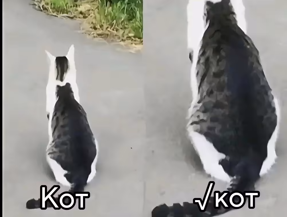 Смешнявка #281