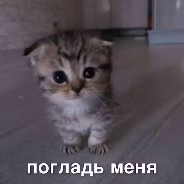 Смешнявка #306