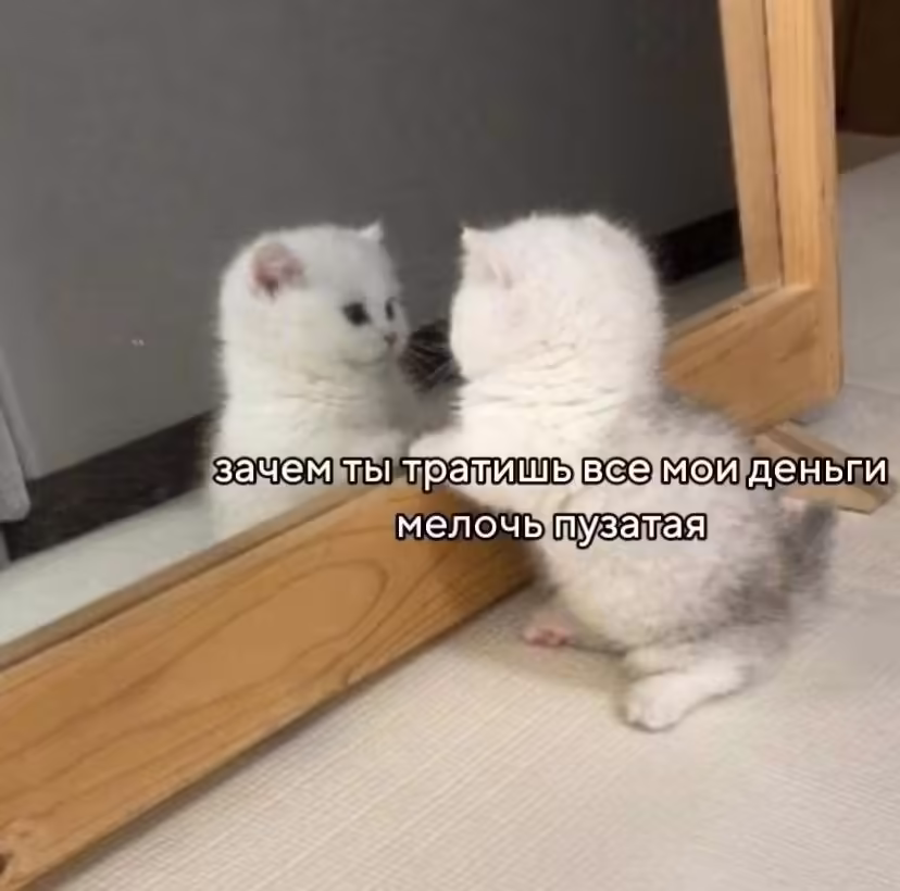 Смешнявка #308