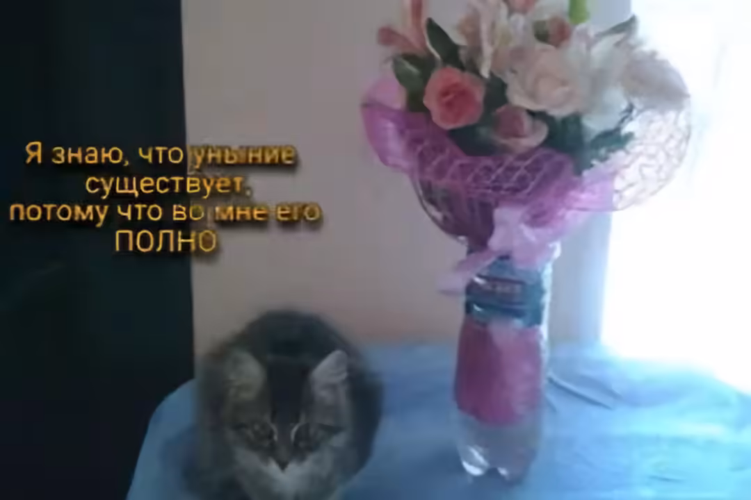 Смешнявка #310