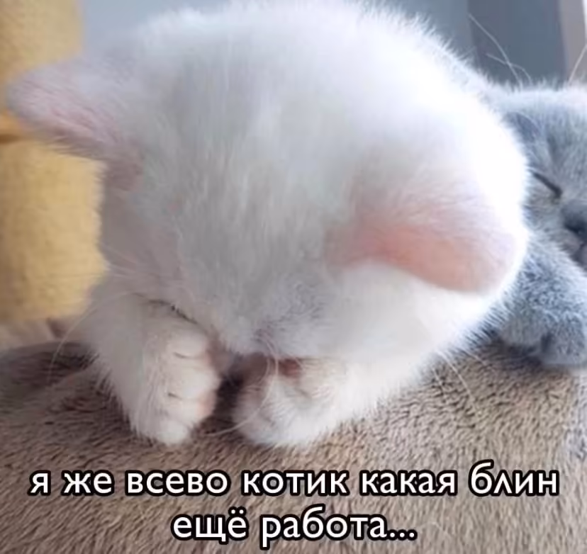 Смешнявка #311