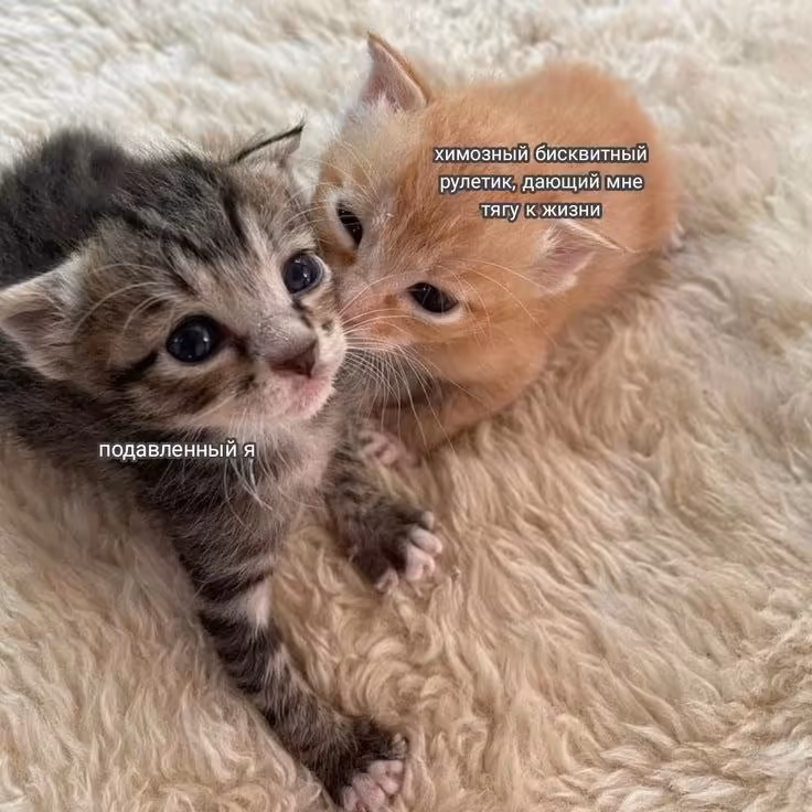 Смешнявка #326